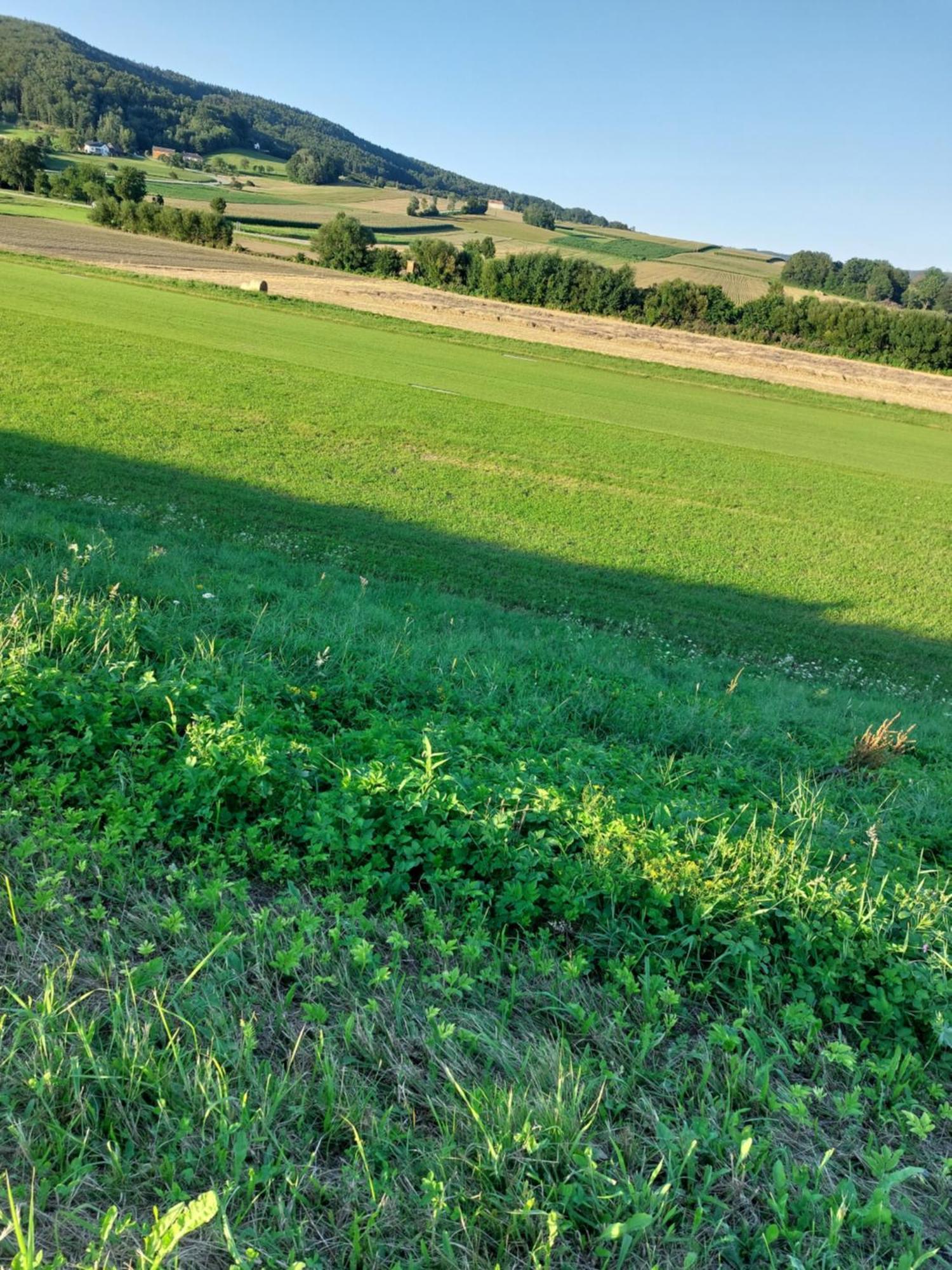 Ferienwohnung Gerti Pinkafeld Eksteriør bilde